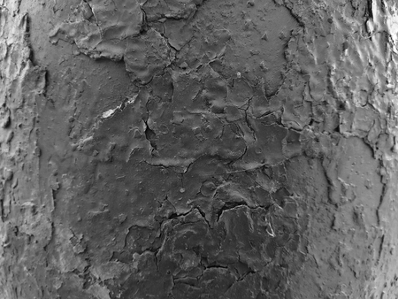 Beautiful texture of old cracked paintの写真素材