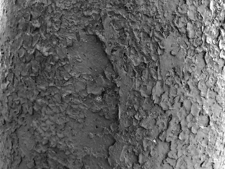 Beautiful texture of old cracked paintの写真素材