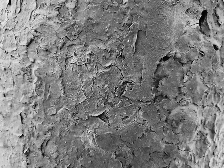Beautiful texture of old cracked paintの写真素材