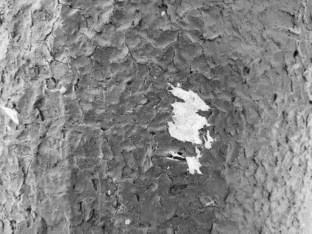 Beautiful texture of old cracked paintの写真素材