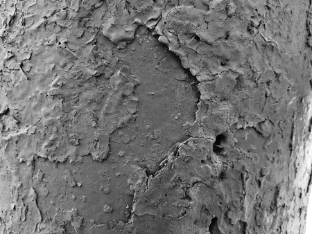 Beautiful texture of old cracked paintの写真素材