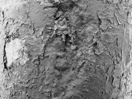 Beautiful texture of old cracked paintの写真素材