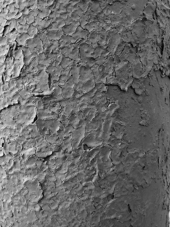 Beautiful texture of old cracked paintの写真素材