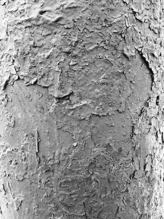 Beautiful texture of old cracked paintの写真素材