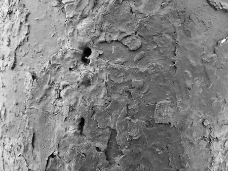 Beautiful texture of old cracked paintの写真素材