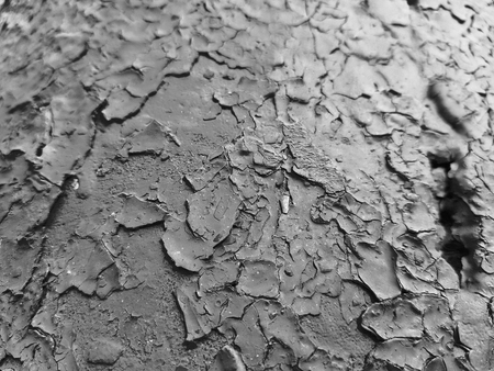 Beautiful texture of old cracked paintの写真素材
