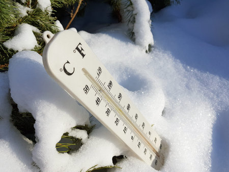 street thermometer with a temperature of Celsius and Fahrenheit in the snow next to a young pine in...