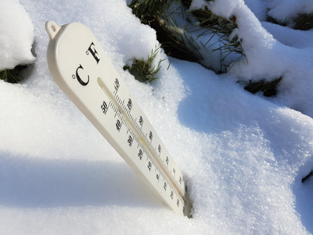 street thermometer with a temperature of Celsius and Fahrenheit in the snow next to a young pine in winter or springの写真素材