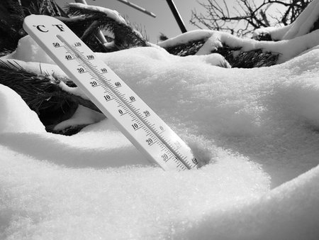 street thermometer with a temperature of Celsius and Fahrenheit in the snow next to a young pine in...