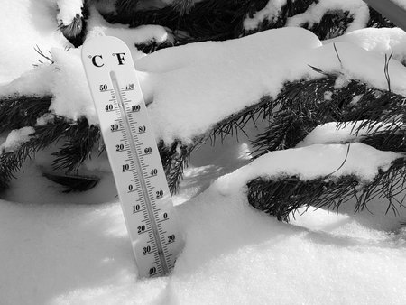 street thermometer with a temperature of Celsius and Fahrenheit in the snow next to a young pine in winter or springの写真素材