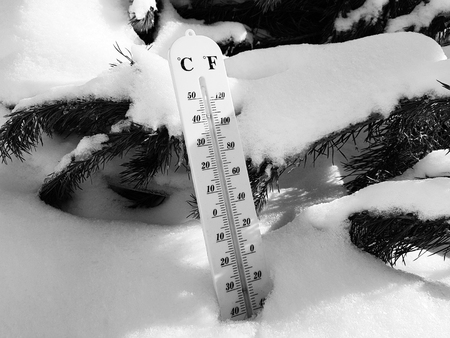 street thermometer with a temperature of Celsius and Fahrenheit in the snow next to a young pine in winter or springの写真素材