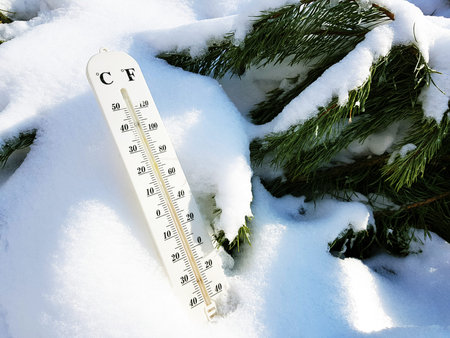 street thermometer with a temperature of Celsius and Fahrenheit in the snow next to a young pine in winter or springの写真素材