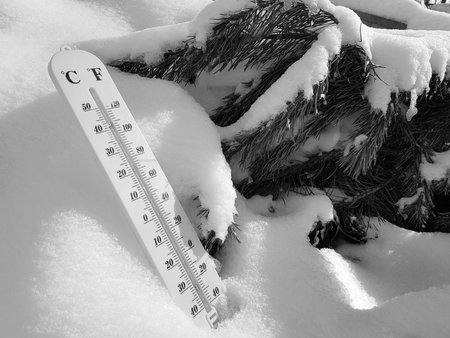 street thermometer with a temperature of Celsius and Fahrenheit in the snow next to a young pine in winter or springの写真素材