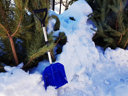 A beautiful snow shovel costs near a mountain of snow and a Christmas tree in winter or springの写真素材