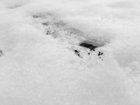 Beautiful snow-filled bottle and gum in the snow in winter or spring