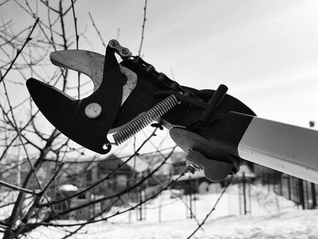 Professional pruner with tensioner and chain for trimming trees against the sky in winter or springの写真素材