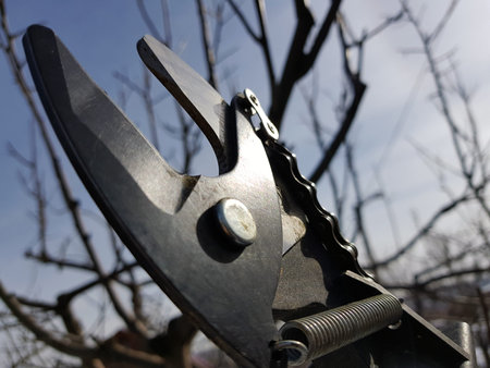 Professional pruner with tensioner and chain for trimming trees against the sky in winter or spring