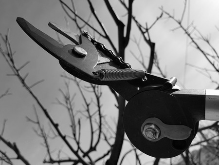 Professional pruner with tensioner and chain for trimming trees against the sky in winter or springの写真素材