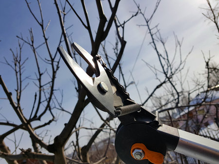 Professional pruner with tensioner and chain for trimming trees against the sky in winter or spring
