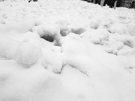 Beautiful gradient background banner for text - texture of uneven snow in winterの写真素材