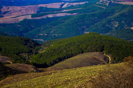 Long Tom Pass, Panorama Route views, Mpumalanga, South African scenic routes.