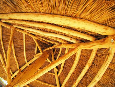 Yellow roof is made of cane - bottom viewの写真素材