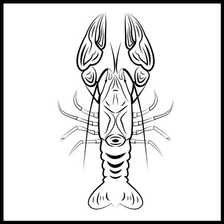 crayfishのイラスト素材