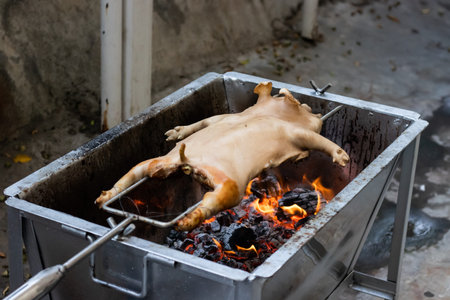 barbecued suckling pig Grilled