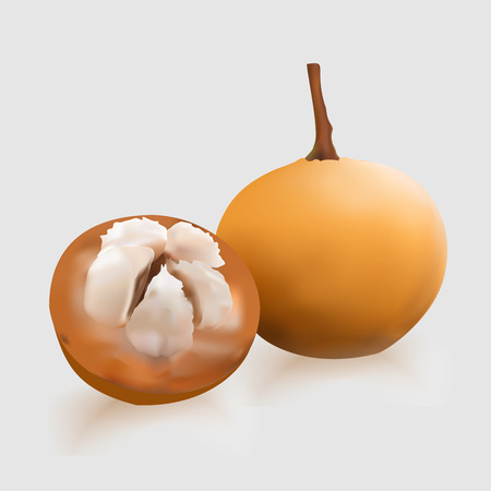Santol. Thai fruit has orange peel.のイラスト素材