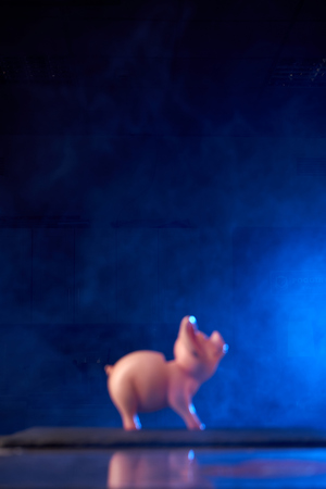 pink pig on black background, toyの写真素材