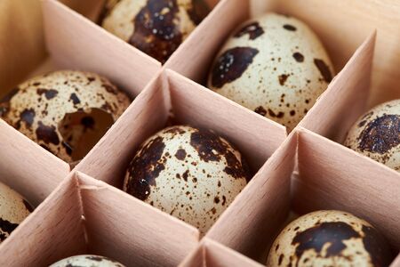 Quail eggs. Top view. Free space.の写真素材