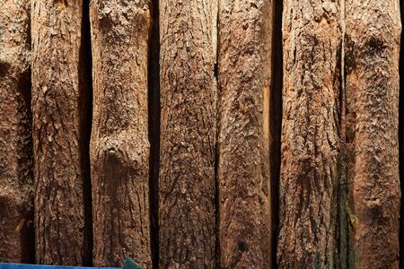 background of wooden logsの写真素材