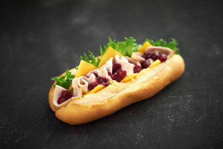 Sandwich-hot dog made from rolls, fried meat, cranberry sauce, cheese, arugula. Fast foodの写真素材