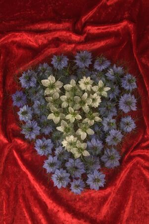 hearts of flowers and sweetsの写真素材