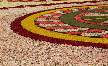 Diano Marina, Italy - June 10, 2007: The photo was taken in an alley in Diano Marina, during the Rite of Corpus Christi June 10, 2007. In image observed several areas of the road covered by multicolored flower petals to form various scenes from the bibleのeditorial素材