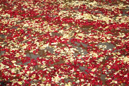 During the eve of the religious feast of Corpus Christi, including the night, the streets are depposti the path of the Blessed Sacrament, a carpet of flower petals, creating artistic representations only. And the solemn procession will pass, destroying thのeditorial素材
