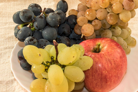 Autumn colorsの写真素材