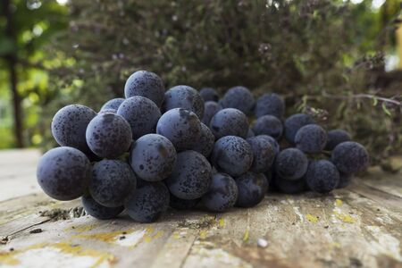 Grapes closeup shot の写真素材