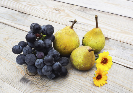 Pears and grapesの写真素材