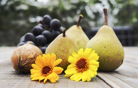 autumn fruitsの写真素材