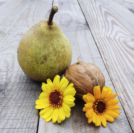 pear and walnutの写真素材