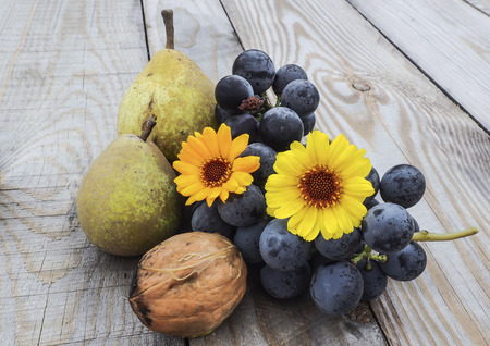 autumn fruitsの写真素材