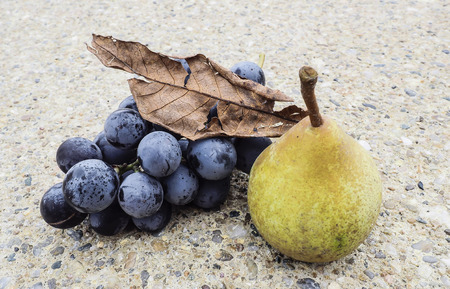 Pear and grapeの写真素材