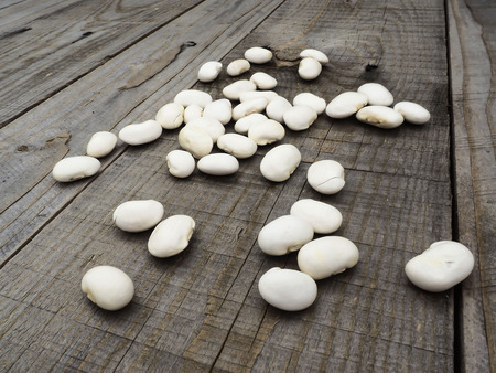 White beansの写真素材