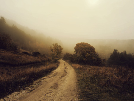 Misty spooky roadの写真素材