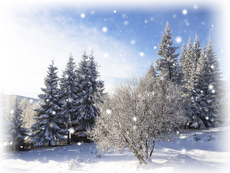Winter landscape. Snowing in Christmasの写真素材
