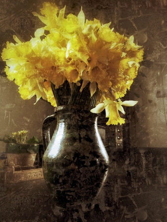 vintage Close up bunch of yellow daffodils vaseの写真素材