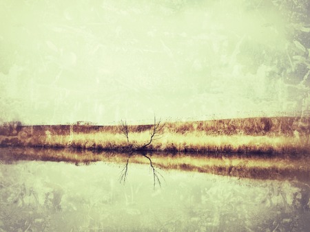 Vintage beachの写真素材