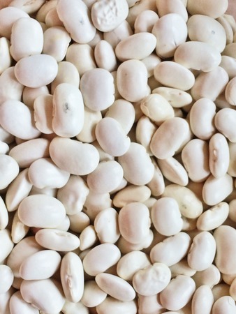 white beansの写真素材