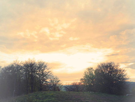 bench at sunsetの写真素材